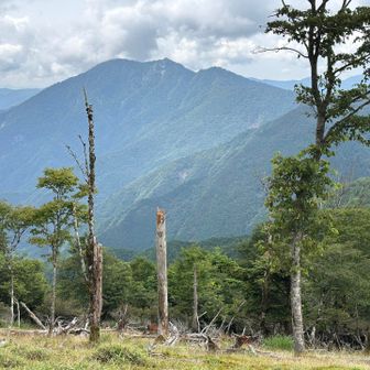 石立山かな？存在感あります