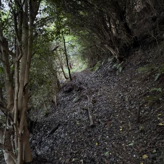 いろんなところで、ちょっとだけ道崩れてるんかも