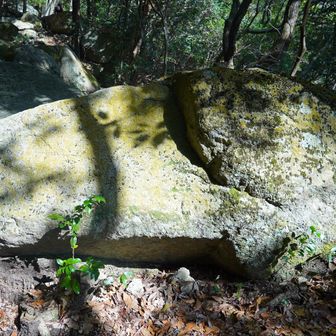 スヌーピー岩と命名😂　哀愁を感じる❣️
