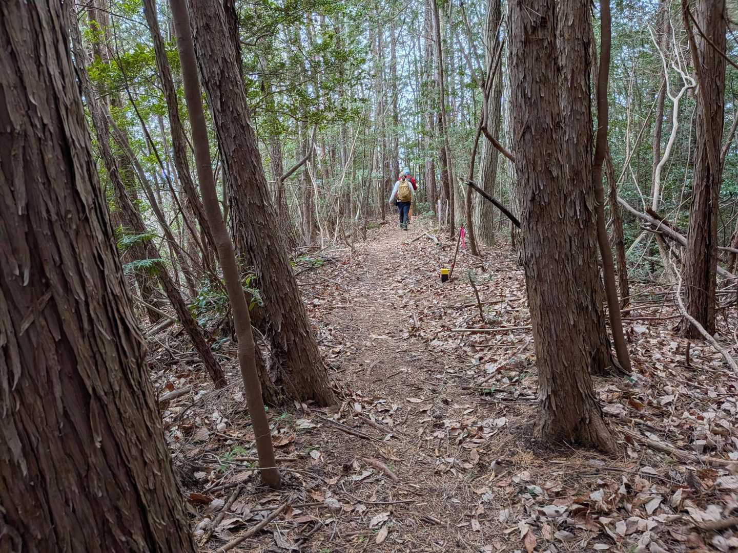 歩きやすい登山道でしたって写真撮影📸したが、この後直ぐにザレ場の急降下🤣