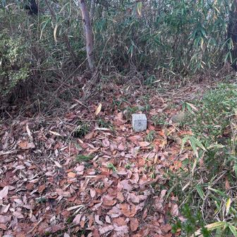 母塚山のピークです！東屋に行くまでにあります⬛︎