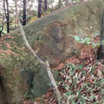 真ん中に悪い顔したゴブリンみたいなの見える人〜🤡
ハーイ🙋‍♂️