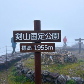 みごとに真っ白です、、