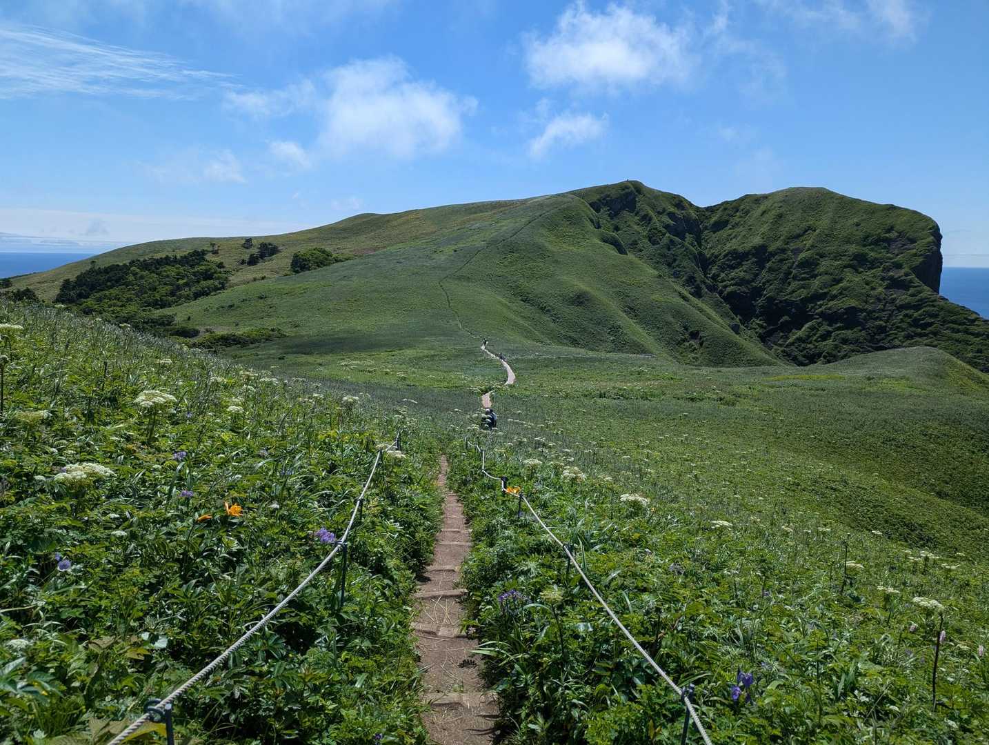 つばめ山-元地灯台 往復コースの写真