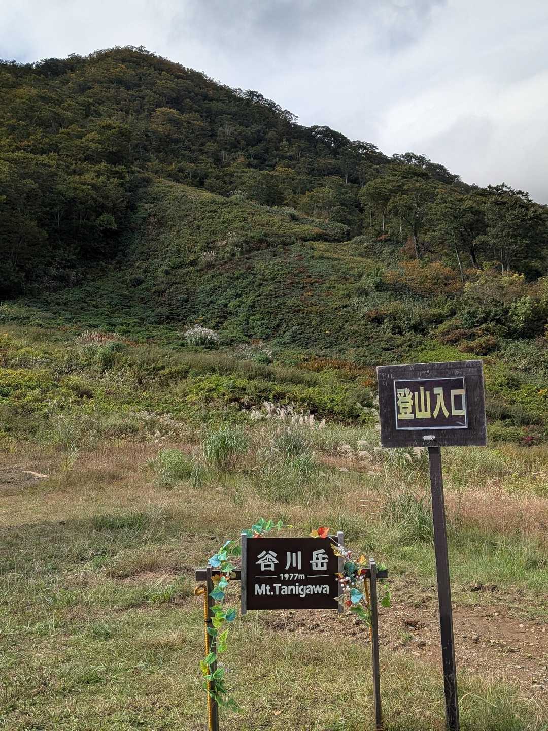 無事に下山しました🙌。