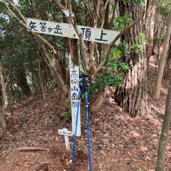 きつかった！