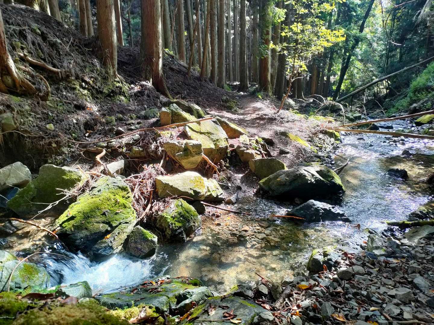 すべての起源は水にある