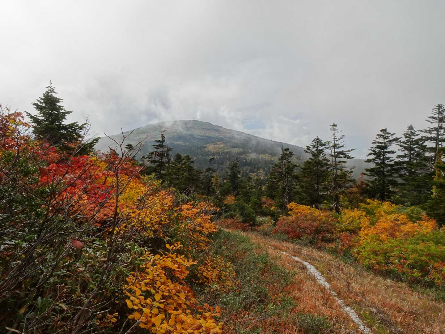 まさに東北の山の秋🎶