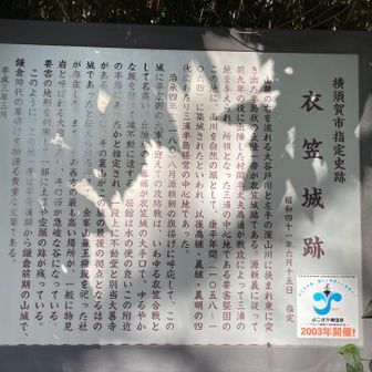 三浦三浦三浦…