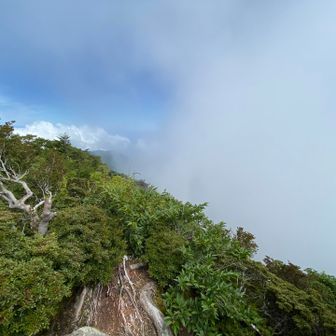 掴めそうなくらいすぐそこにある雲