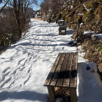 いろいろなベンチが