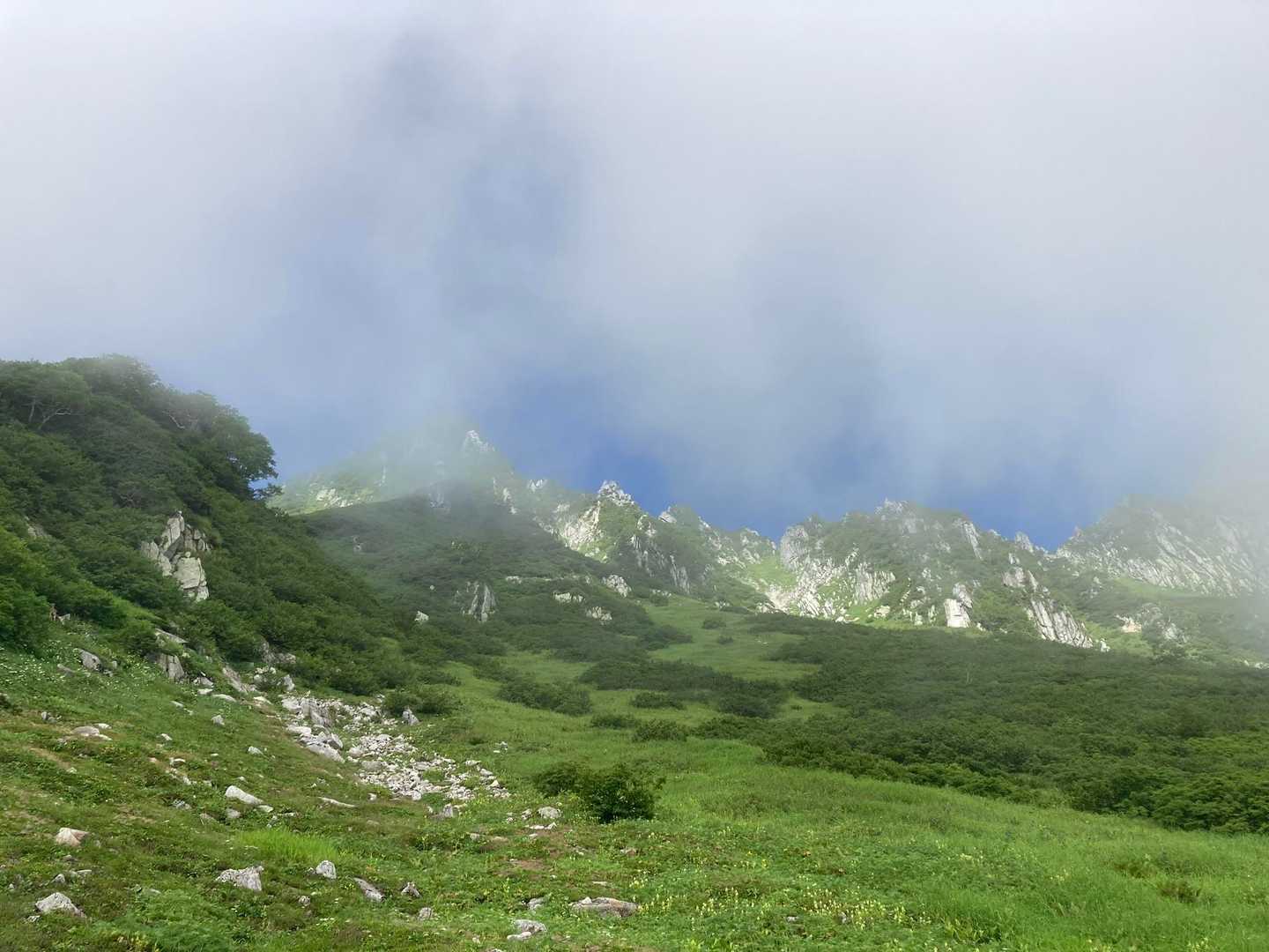 たまにガスっても良い感じ☁️