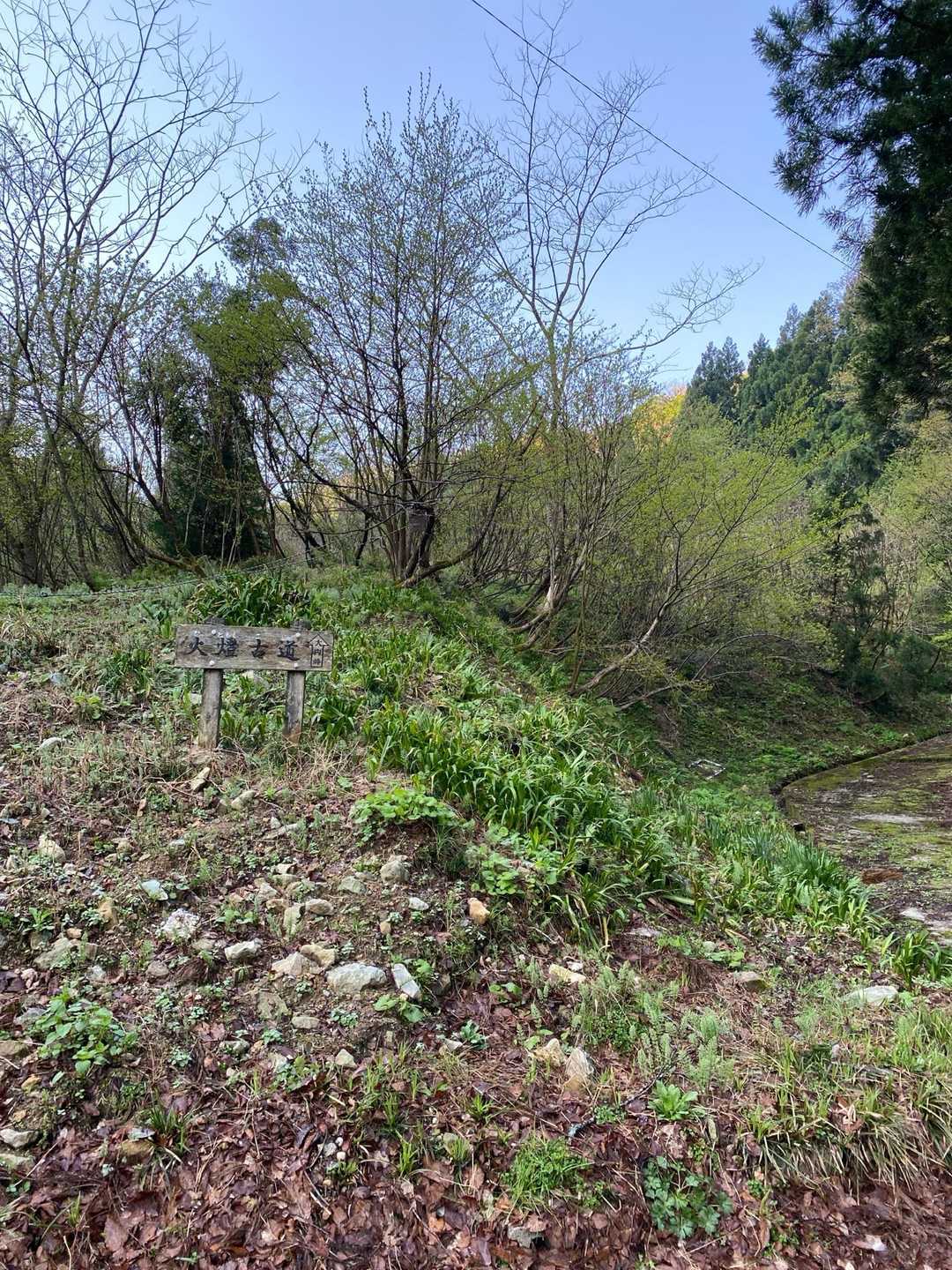 火燈山古道から