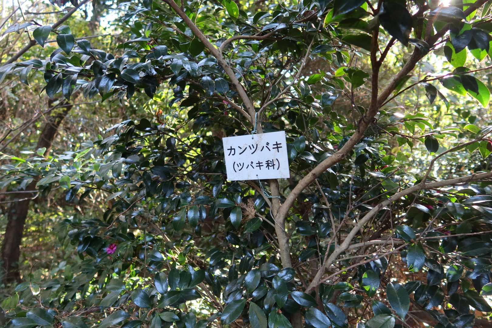 名札があったから😁