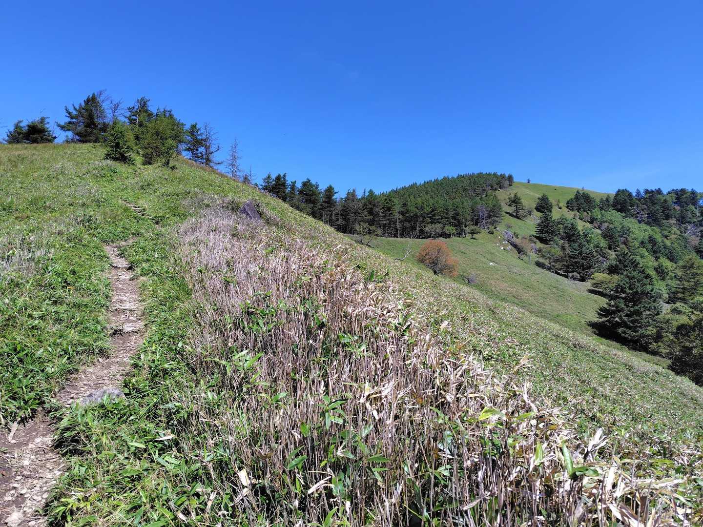 茶臼山への登山道