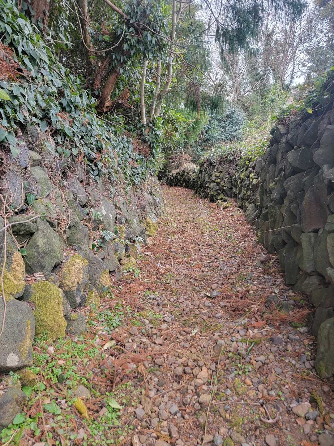 笠山 周回コースの写真