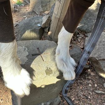 タッチコマンド言ったら、両手でタッチ