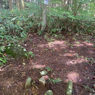 オオネントウの四等三角点と山名標識。
点名: 横路、標高: 877.86 m。
眺望は全くありません。
西ルートは結構、ピークがあって名のない感じの山が前後に一つずつあります。