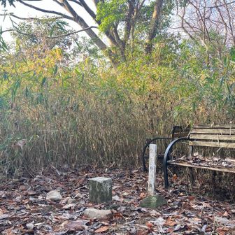 三角点。
ここが水茎岡山城跡みたい…