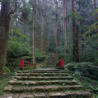 立派な大きな杉が迫力あって景観、雰囲気ヨシ❗️