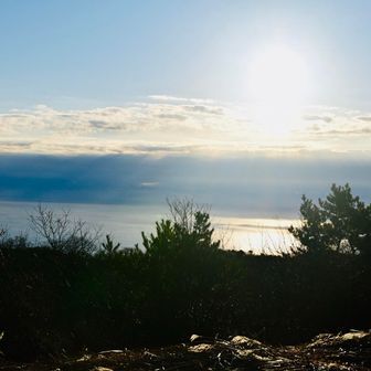 高鈴山山頂🏔️

ここからご来光見たかった🌅太平洋が見えます✨山頂からの海見るの初めてです👍


スライドした方何名かいましたが、6時前に入山してる方々ですね。👊