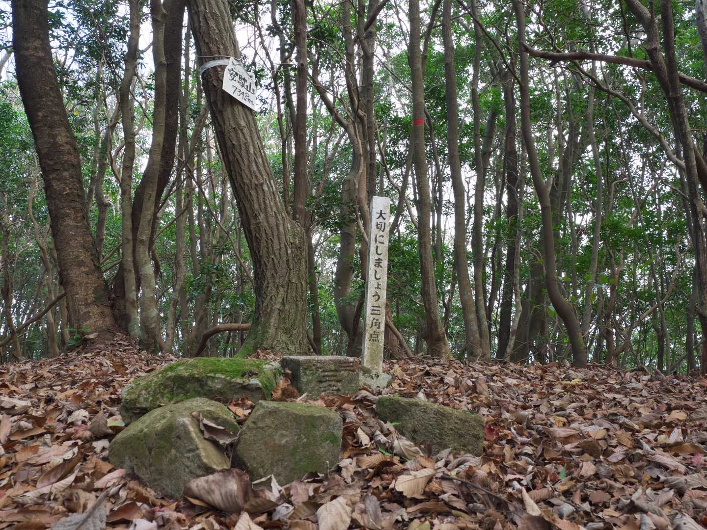 鞍部から約15分で安駄山山頂到着！
12月中旬になろうというのにそんなに寒くなくメチャ汗かきました^^;
でも頂上で休んでいると汗が冷えて寒くなってきたので早々に高鉢槍へ向けて出発！