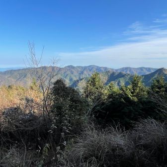 視界が開けた〜