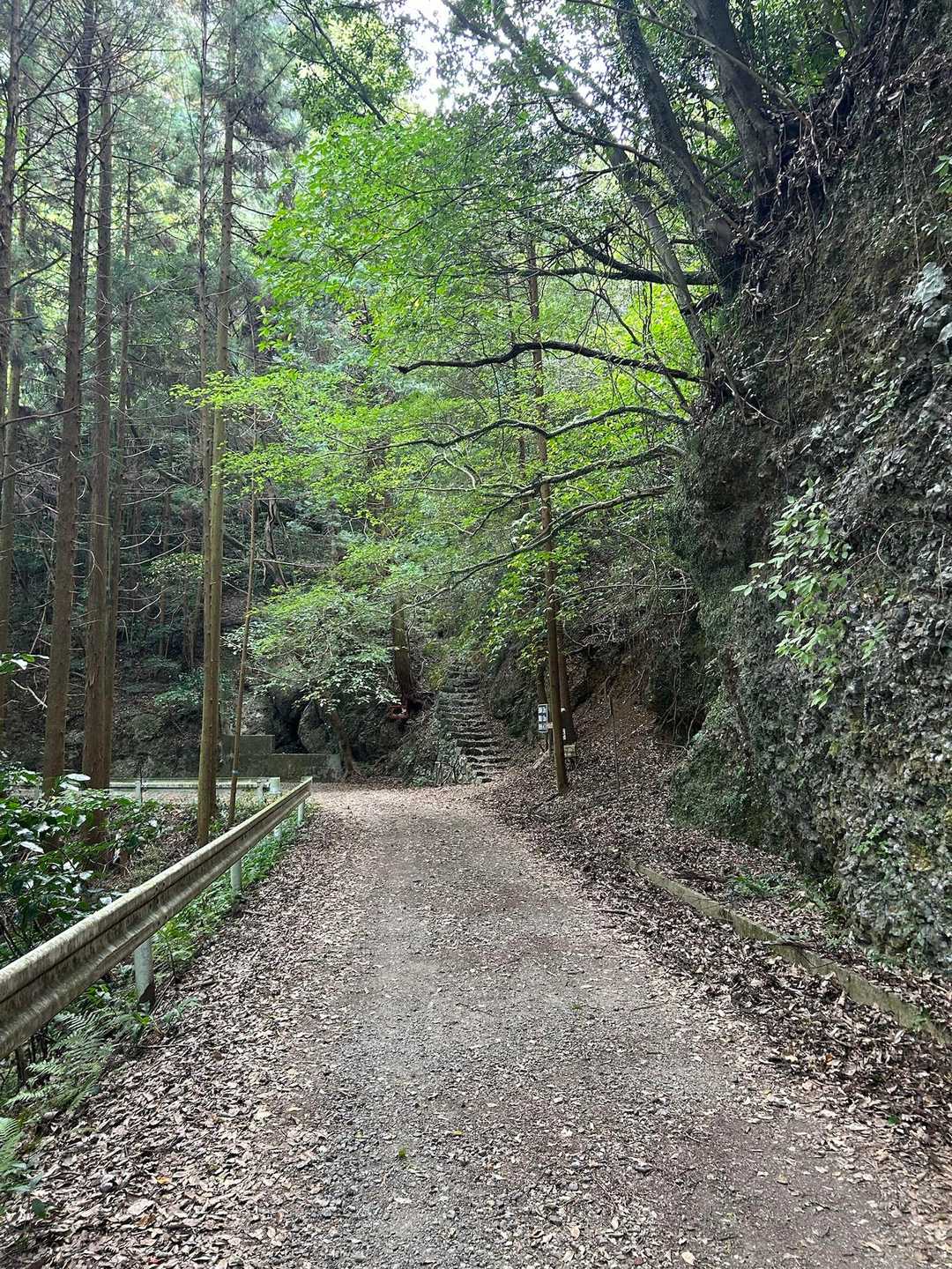見返り峠-黒髪山 往復コースの写真