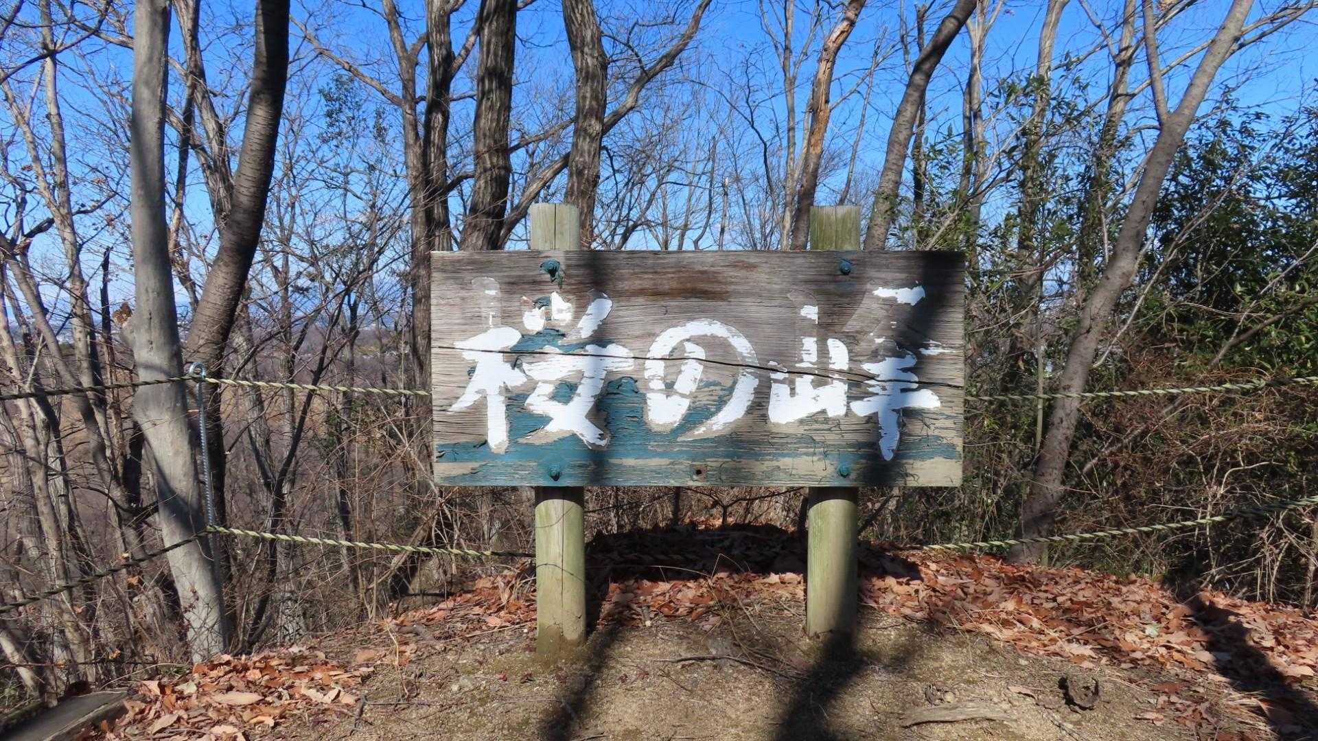 今日、ラストのピークとなった桜の峰