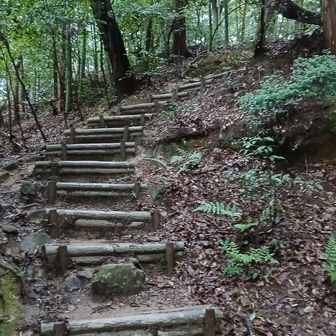 階段の土が流出してたりで、ちょっと登りにくい。既に滝汗状態だ。