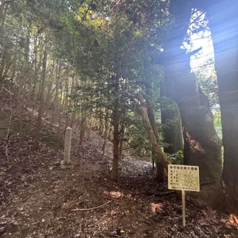7つの岡山、制覇しました🙌
神田 PAに戻ります🚶‍♀️
回り道は嫌なので先ほどのバリケードが通れないか、ダメ元で行ってみましょう！