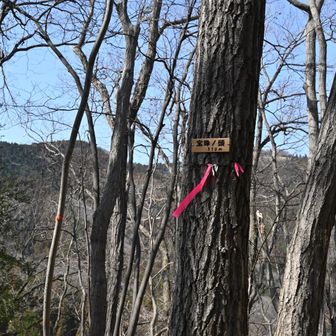 宝珠ノ頭（後ろに見えてるのは景信山）