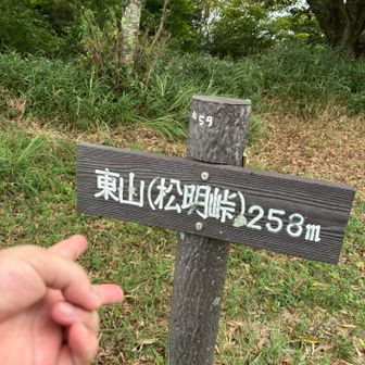 温度計２６.５℃だった