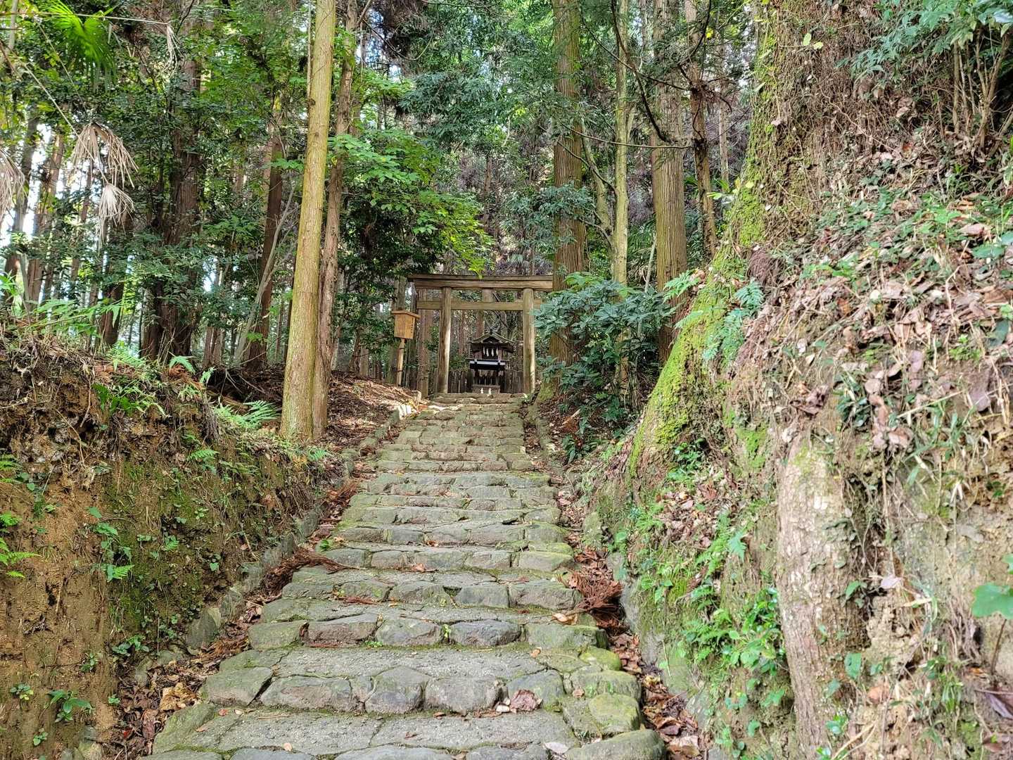 桜井駅〜柳本駅｜日本最古の山の辺の道の写真
