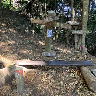 見返峠に到着。
この後青螺山方面へ縦走予定でしたが、また踵が痛み始めたのでここで下山しました。