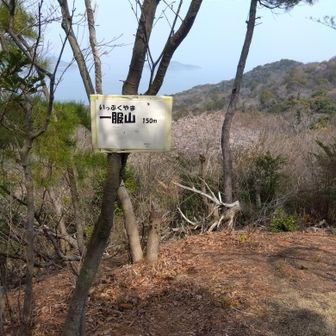 一服はせず、素通り🏃