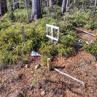 たけし城で撃ち抜かれたポイみたいな看板