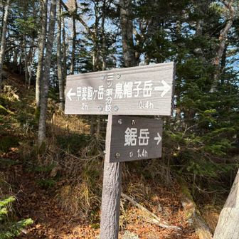 分岐到着！
ココから日向八丁尾根へ入ります