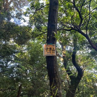 十方山、こちらも残念ながら眺望はありません🥲