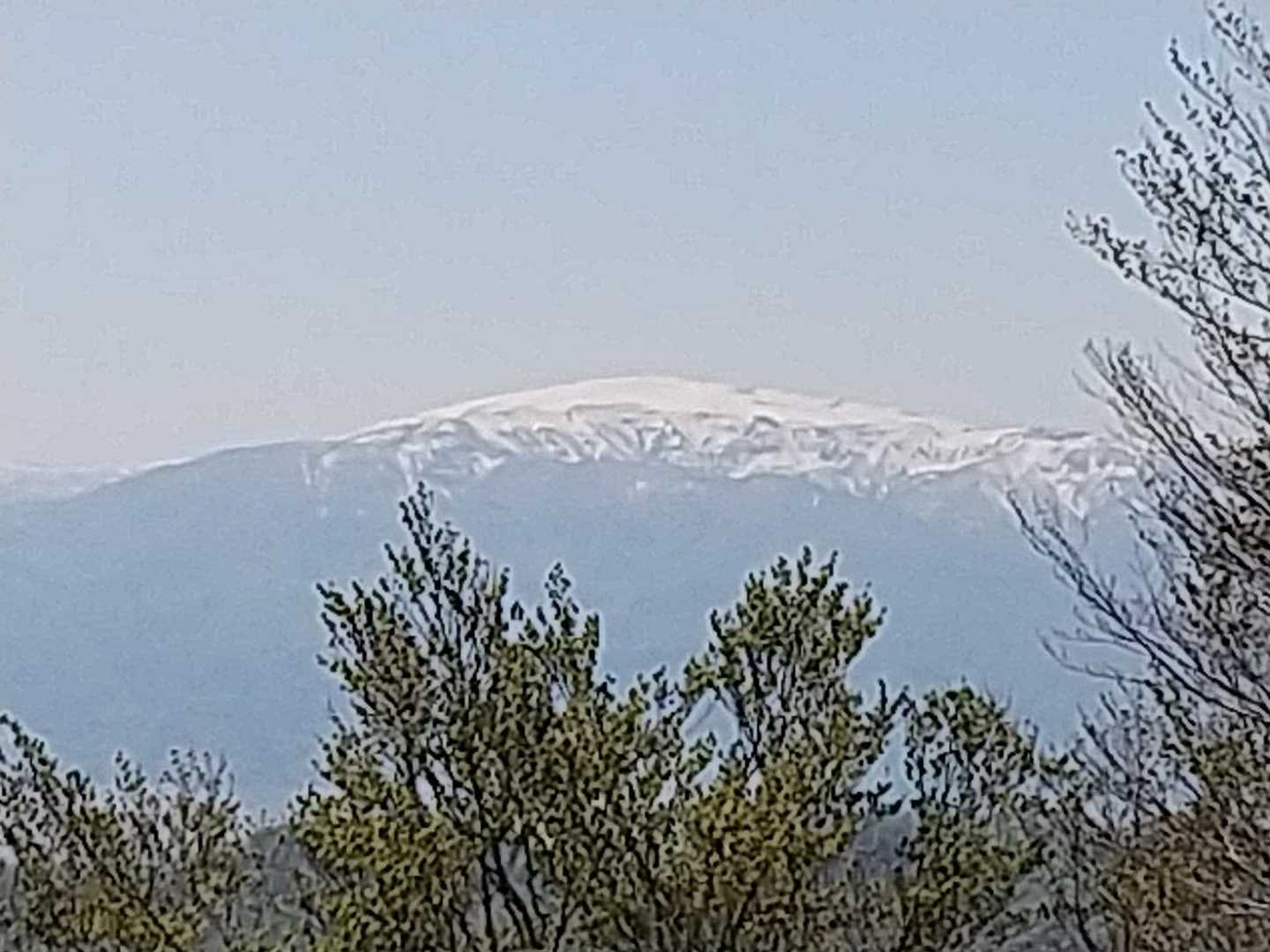 葉山もバーン