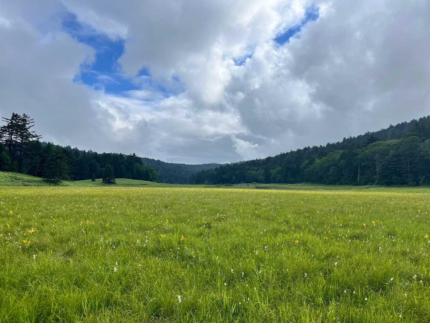 尾瀬沼-長英新道分岐-俎嵓 往復コースの写真