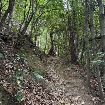 金光稲荷神社奥宮を経て二葉山山頂を目指します