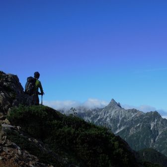 ぽんぽこたぬき