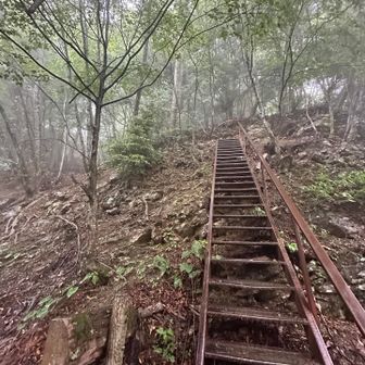 ☂️の中下山に集中