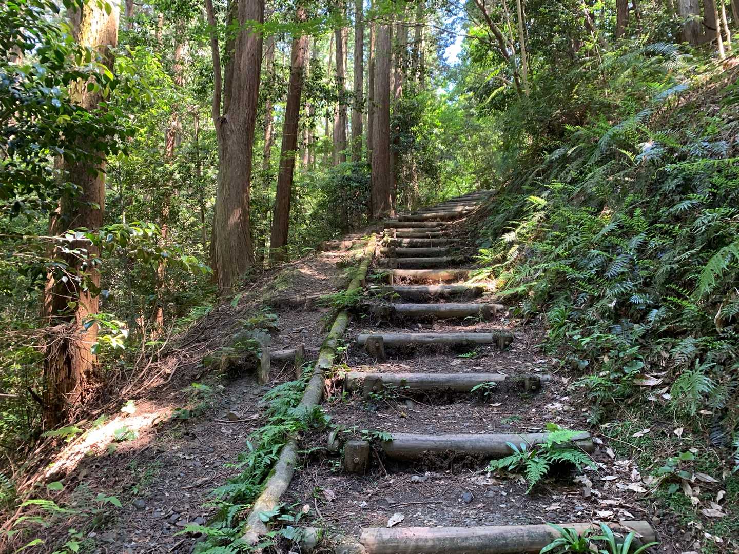 東海自然歩道