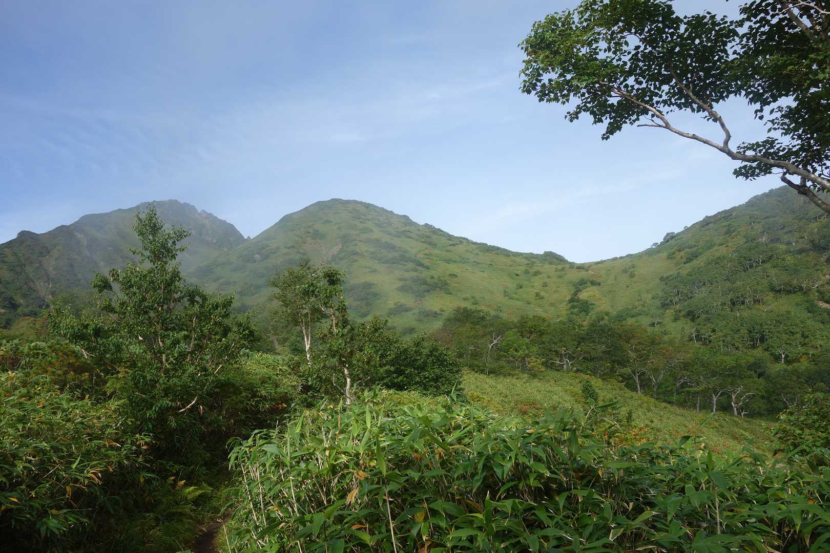 半面山-雲峰山-芦別岳 往復コースの写真