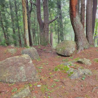 登った道下ります、