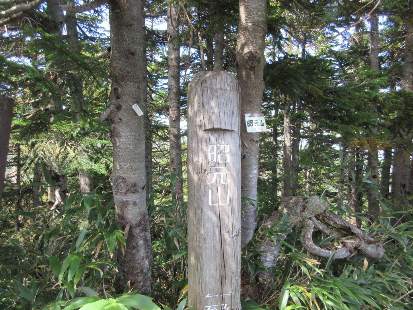昭元山