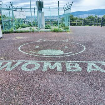 五月山動物園のマスコット的存在のウォンバットの名を冠した展望所
