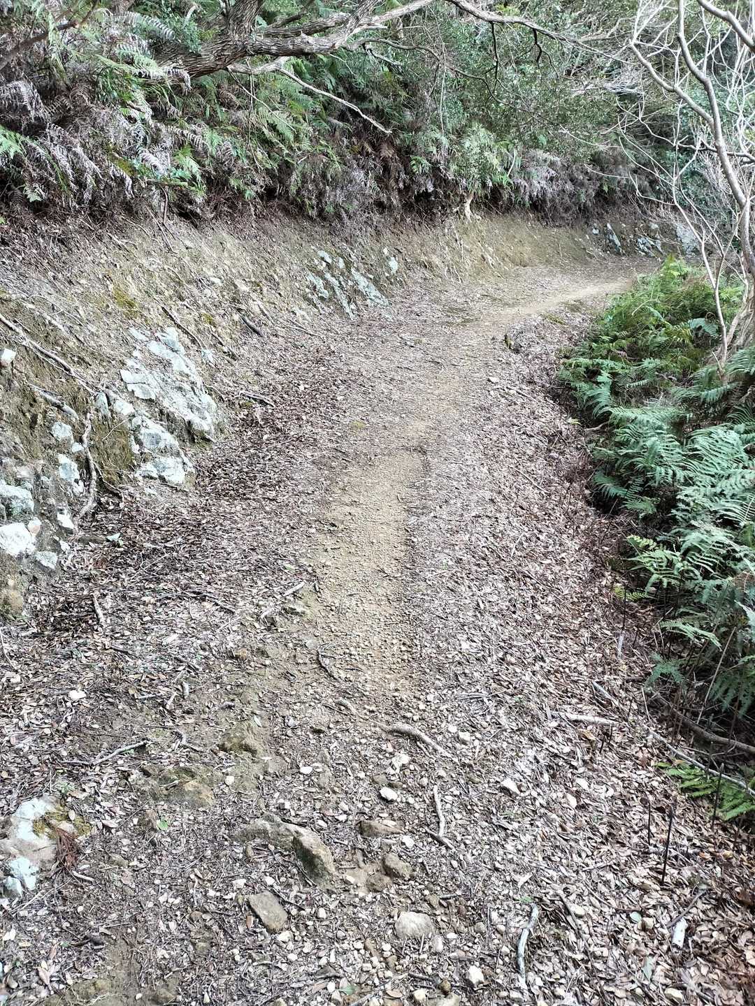 スニーカーで歩ける道